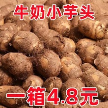 山东牛奶芋头9斤当季新鲜小香芋红芽芋艿槟榔毛芋头蔬菜整箱5包邮