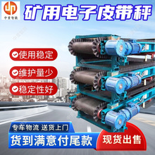 支持定制ICS30皮带配料秤 电子皮带秤 现货ICS30皮带配料秤