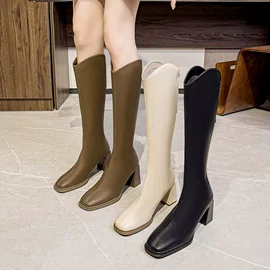 女式时装单鞋;女式皮靴;高跟凉鞋