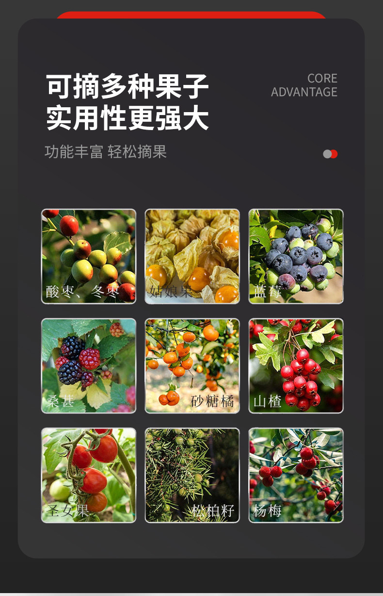 O1CN01N9wz4K1xrDooSkCGn_!!2210