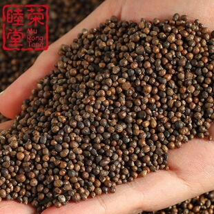 �S�G��ȥƤ������m�S�G�����G�Ӳ��@�����l���^�������о�S�G��