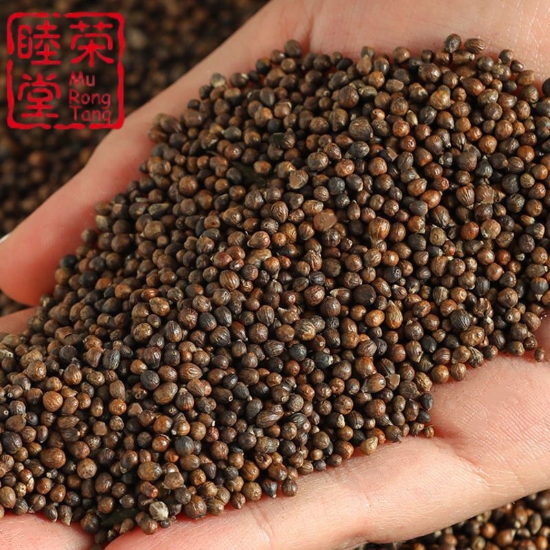 黄荆子去皮抛光除尘黄荆子牧荆子布惊子批发枕头填充物枕芯黄荆子