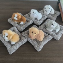 ���з���������С�׹�܇�d�[������ȩ����ζ���lС���ɐ۹���