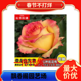 һ�����l�崺�¼�--��˹���-΢���¼������̨ϵ�У����mʮ��