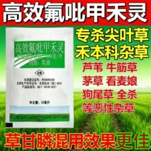 高效氟吡甲禾灵除草剂批发除芦苇尖叶杂草花生大豆棉花田厂家直供
