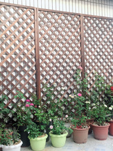 �������ľ�řڸ�������ͥԺ�h�ʻ��@�̨�������L�W�����ٻ���