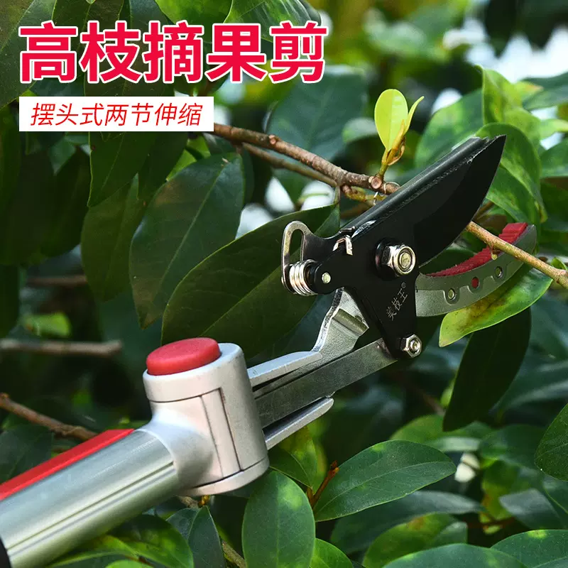 摆头式高枝摘果剪多功能带锯片采果剪园林工具伸缩高空修枝剪刀