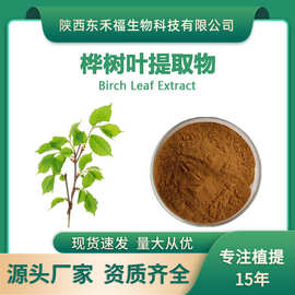 桦树叶提取物10:1 桦树叶黄酮Birch Leaf Extract 白桦叶 1kg起售
