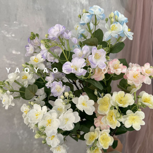 �������� ��֦���^С�����Ʒ�| ӭ�����������Ĕz���ߙ����b�