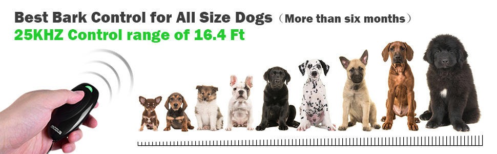 a02c8472-5d0e-49ff-8b8b-3cd3ec