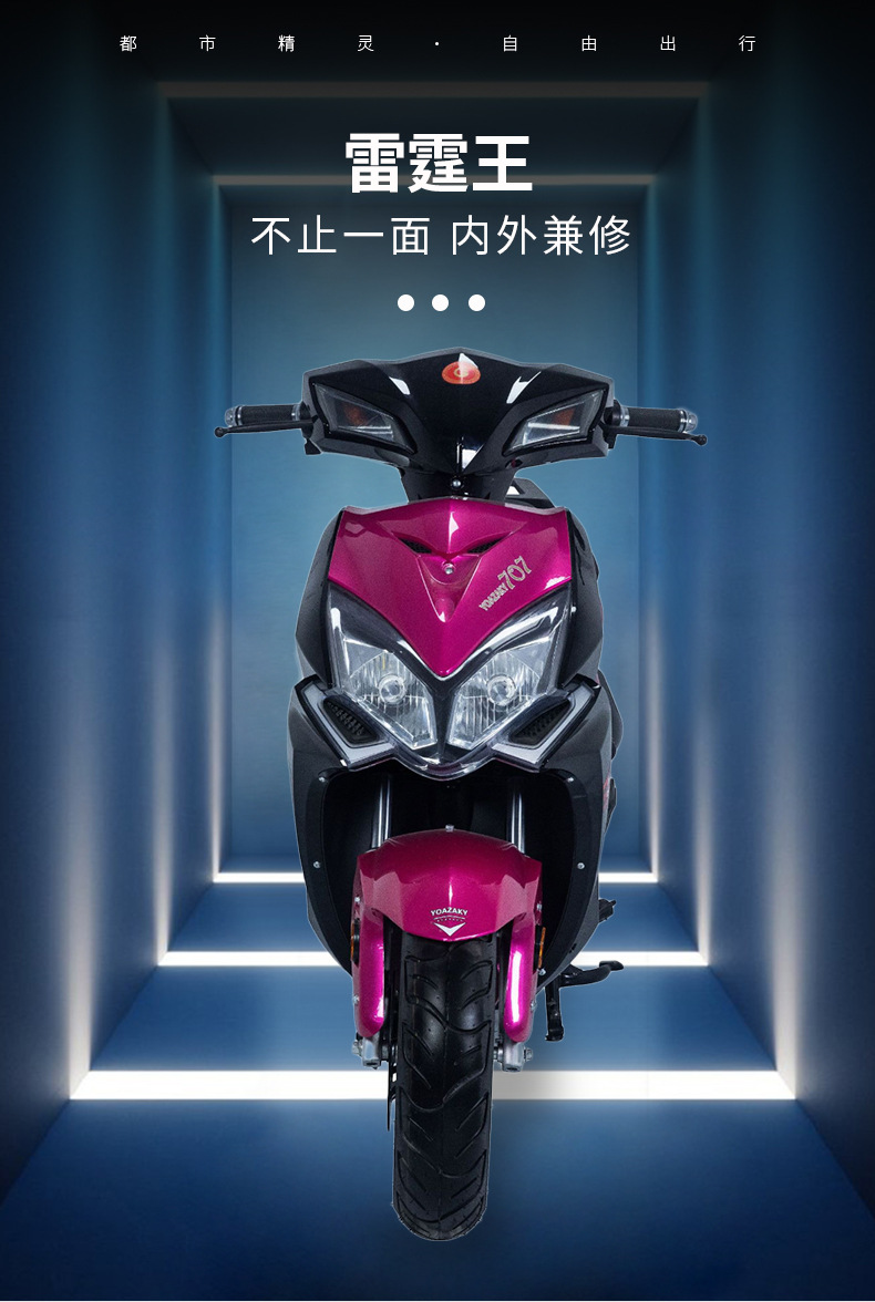 Direct Export to Europe, Whole Vehicle Shipment, Thunder King Electric Scooter, Adult Electric Motorcycle, Electric Vehicle Foreign Trade