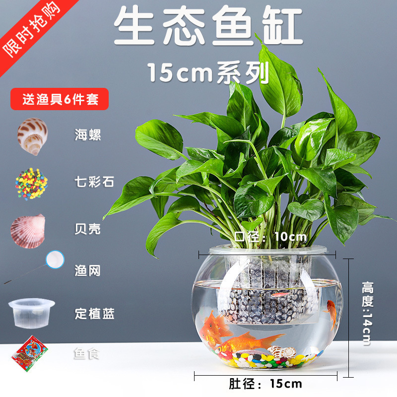办公桌玻璃鱼缸金鱼缸水族箱客厅小型桌面乌龟缸透明圆形家用造景|undefined