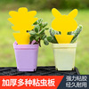 Spot new Amazon Foreign Trade double -sided flower -shaped sticky insect panels seductive insect plate insect trap purse sticker