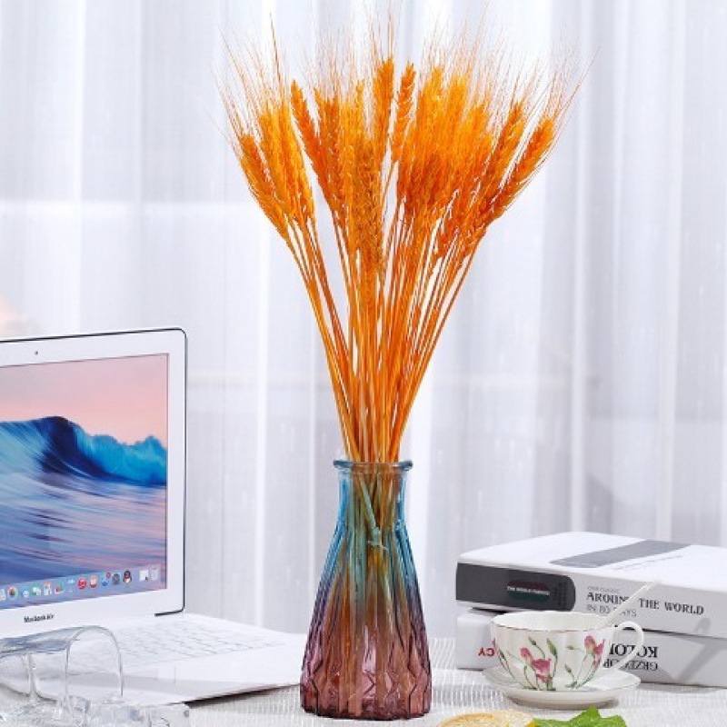 짙은 갈색의 노란색 밀 이삭 - 꽃병 없음