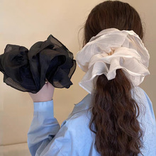 ��ʽ����̖�ް��p�ӾW�����c�lȦ�߼������Rβ�^��Ů2025�¿��^�K