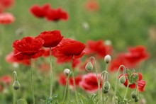 ˷Nӻɫu˻NӴ＾NͥԺͺN