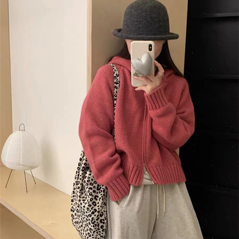 韩系慵懒风连帽针织开衫女秋冬新款宽松高级感双拉链加厚毛衣外套|undefined