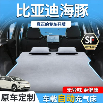 Byd Dolphin Car Mattress Inflatable Rear Seat Sleeping Pad Trunk Sleeping Gadget Car Accessories Air Mattress Special
