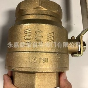 ����WATTS늄ӵ��y��ֹ�y���y�l�y���yֹ���yW-W1111-G�{���y