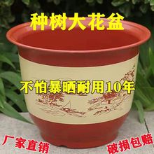 ���軨��N�ˌ��û��������û��P�|�ב���ͥԺ���@�͏dһ�����l