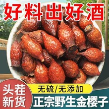 批发金樱子中药材野生金樱子干果刺梨子金英子男性滋补泡酒泡茶