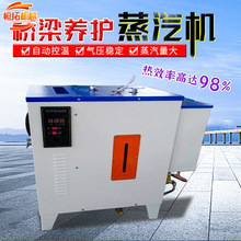 橋梁蒸汽養護器電加熱蒸汽發生鍋爐全自動混凝土蒸汽養護機