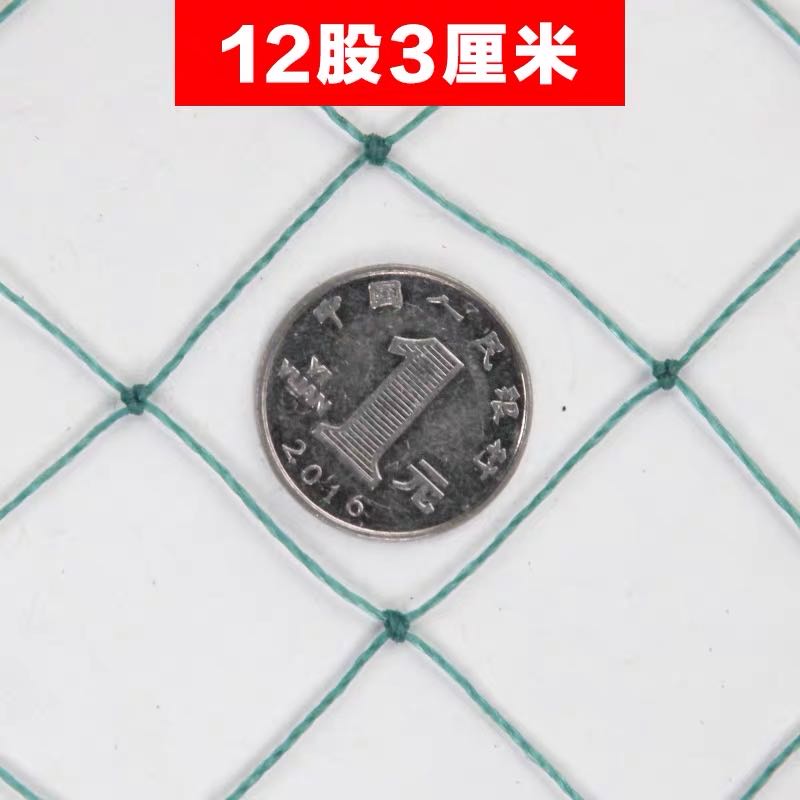 Red de cría de nailon Red de pollo Red de faisán Red de cerca Red de bloqueo de pollo Red de huerto Red de protección Red a prueba de pájaros