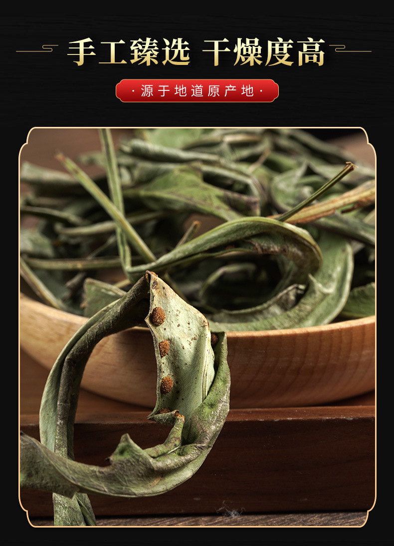 Hua Shi Cao (Lysimachia christinae) — Dried Food Herb for Herbal Tea & Decoction quality and texture