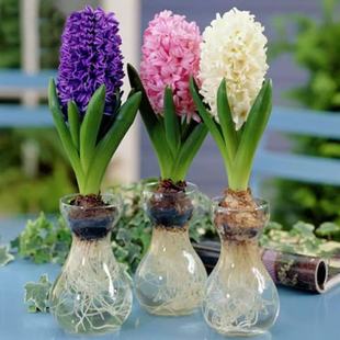 �L���ӷN��ˮ�B�����ײͶ���ˮ����ѿ�ͺ��׻������ֲ���҃Ȼ�