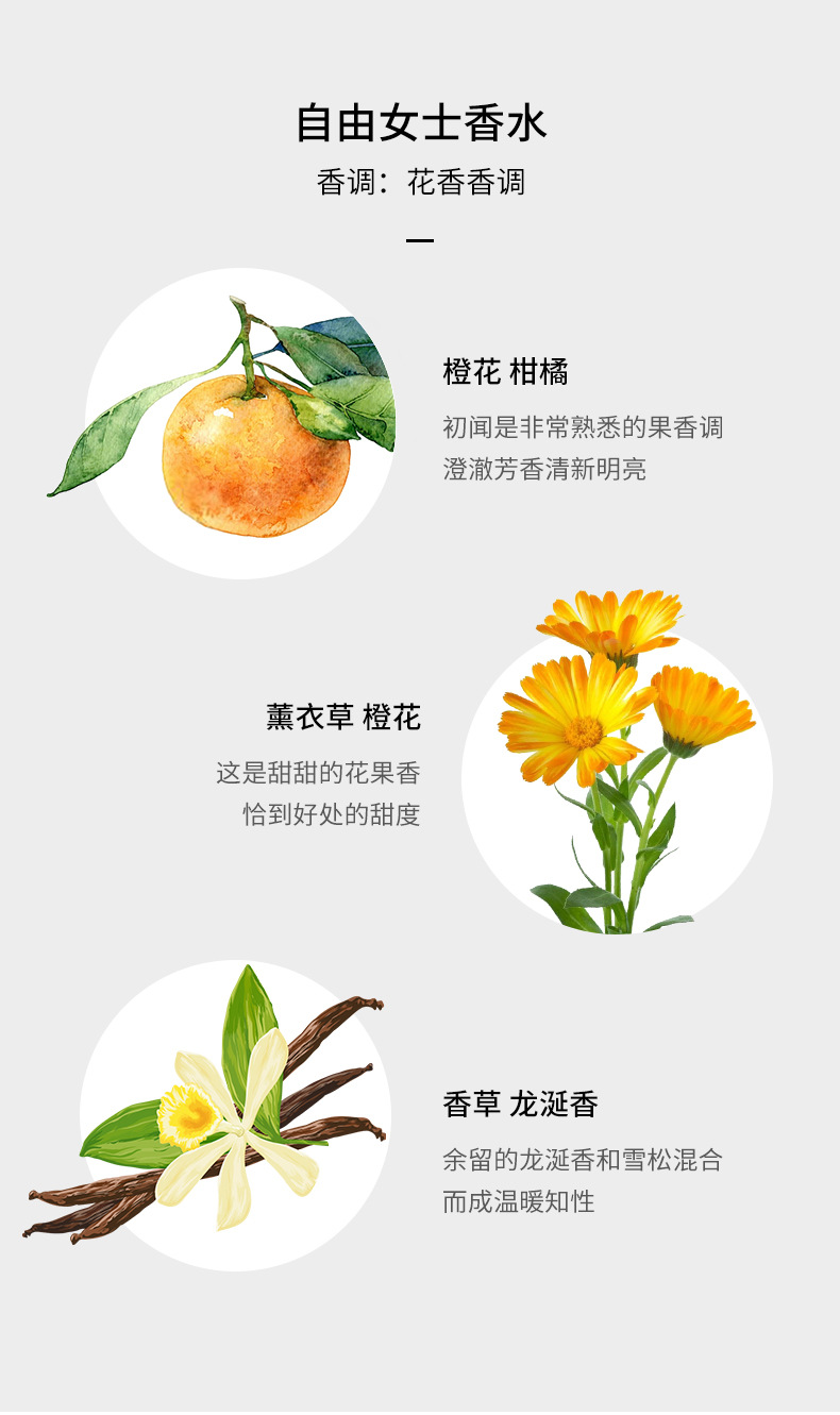 Small Town Yixiang Black Crow Perfume Gift Box, Long-lasting Light Fragrance, Douyin Bestseller, Reversal Freedom Lady Perfume Set Wholesale undefined