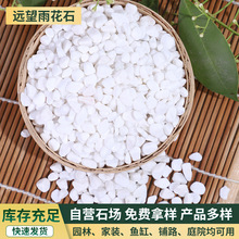 ѩ����Сʯ�� ������������ɫ�C���Z��ʯ �~���쾰�����·�b�