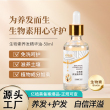 生物素护发液头发营养液侧柏叶当归生姜植物精华男女生免洗护发液