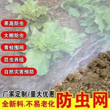 防虫网蔬菜大棚果园猪场防蚊防虫专用网花卉防虫防鸟网罩农用纱网