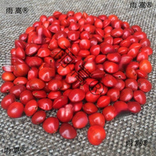 ��Ȼ�t������ԭ����˼�����t���ִ����ɢ��Փ��t������һ�w���