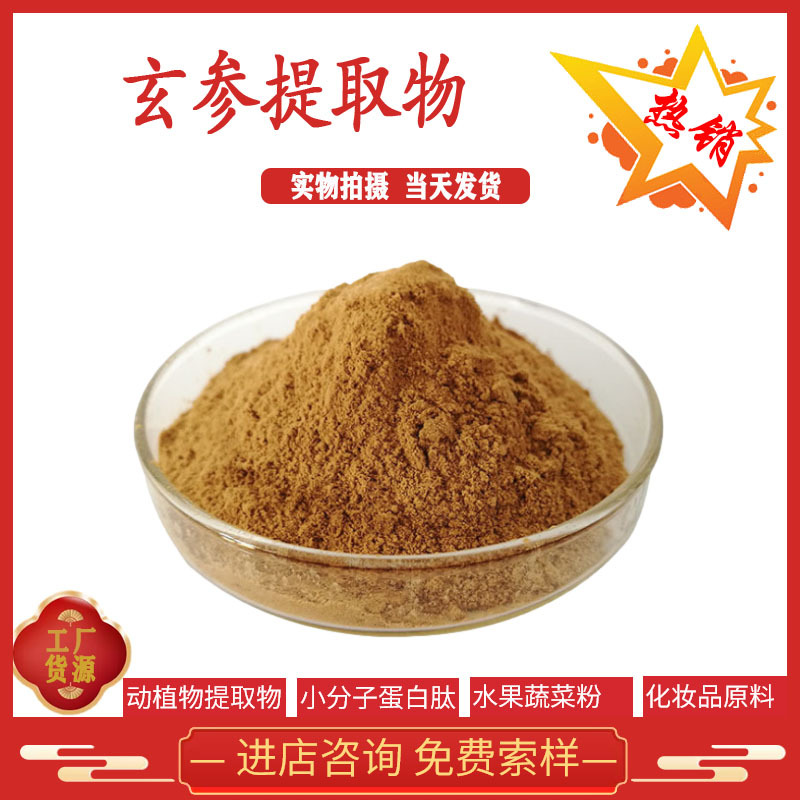 玄参提取物10:1 30:1多规格 北沙参提取物 元参提取物 玄参粉