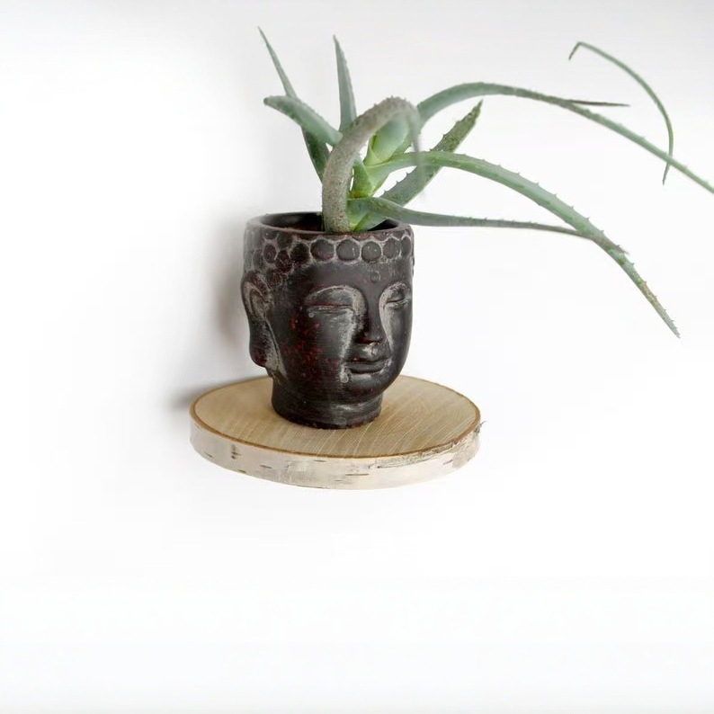 跨境新款美式墙上壁挂圆形多肉花盆装饰品置物架实木年轮板摆件