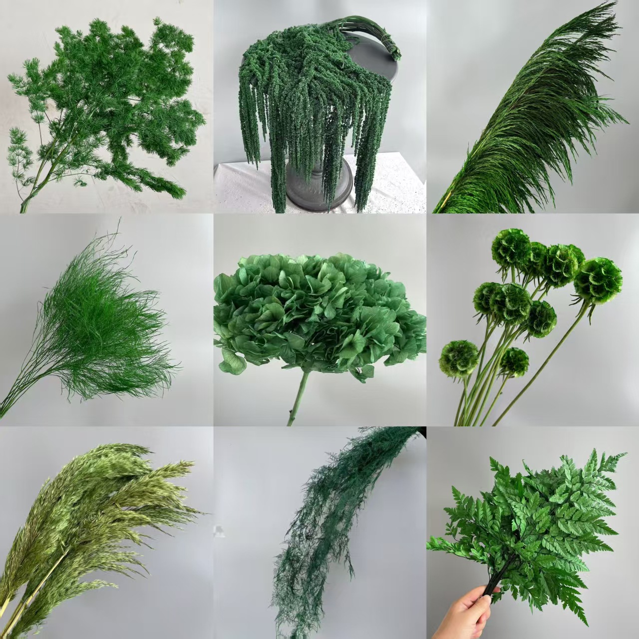 吊米永生花情人泪流苏真花森系绿色花材婚庆装饰龙须草厂家直销