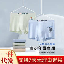 泰恩熊青少年内裤学生男童童款发育期初中高中生四角中大童胖童