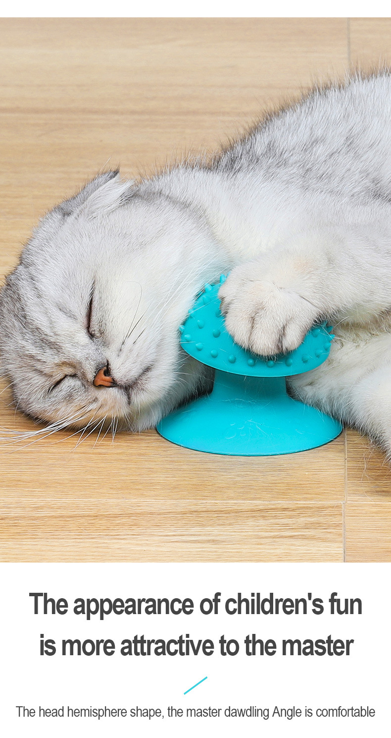 Cat Enjoying Massage