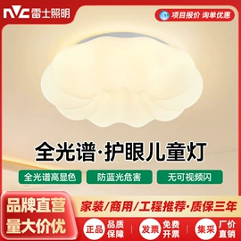 阅读台灯;小夜灯;吸顶灯
