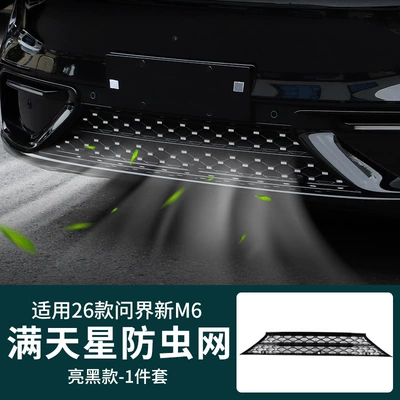 Suitable for 26 Models of M6M7/M8M9 Modified Star-Patterned Insect-Proof Net Car Grille Protection Water Tank Protection Accessories (Automobile anti-insect net) - wenjie-m6-gypsophila-insect-net-bright-black-1-piece-set