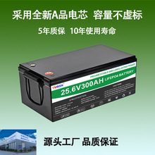 锂离子电池24V300AH光伏储能房车叉车电源磷酸铁锂高容量7680WH