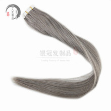 Tape in Human Hair Extensions Balayage Grey Hair Remy Hair