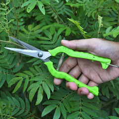 Manufacturer supplies stainless steel garden tools, fruit picking shears, gardening scissors, grafting pruning shears, thinning shears