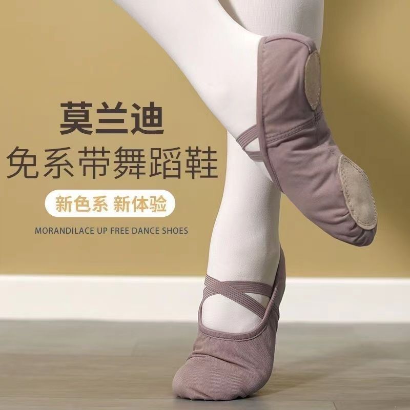 Soft-Soled Dance Shoes for Classical Dance Teachers, Chinese Dance Adult Cat Claw Professional Ballet Practice Shoes for Women Morandi