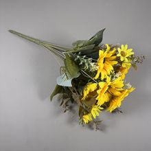 տ滨ҾӾƵ͏dɳٻ̫ꖻ컨ֹ