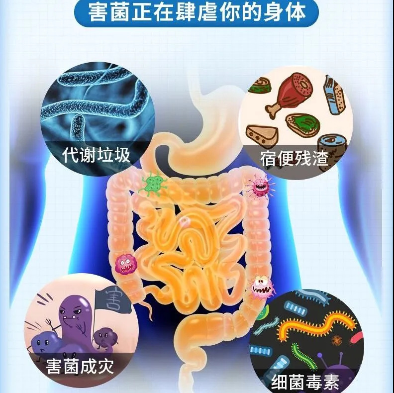 益生菌南京同仁堂益生菌凍結乾燥粉益生元腸管益生菌卸売り益生菌カスタマイズ|undefined
