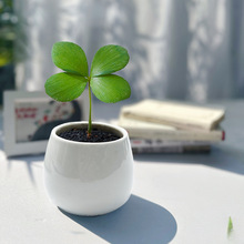 ���\���~����������ī�����F���k��������Сֲ��Gֲ�����Ժ�����