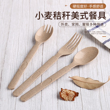 一次性拌饭勺可降解麦秸秆刀叉勺麦纤维西瓜勺子美式叉勺一体单只