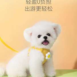 小狗狗牵引绳背心式小型幼犬泰迪比熊博美宠物胸背带狗链遛狗绳子